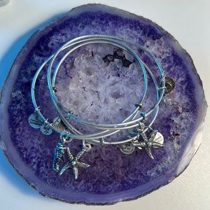 3 Alex & Ani Silver Bangle Bracelets